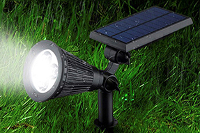 What is Current Market Development for Solar Lawn Light ?