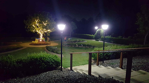 Solar Powered LED Garden Light