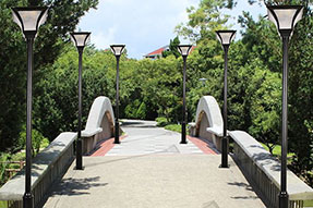 Solar-Powered-Outdoor-Garden-Lights